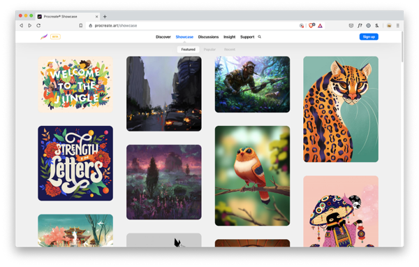 Procreate gallery UI teaches by example